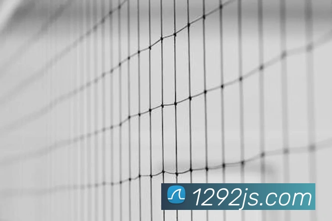 奖项证书